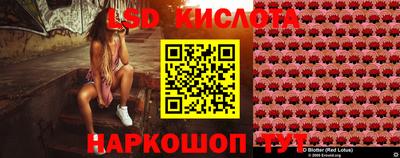 кокс Владимир