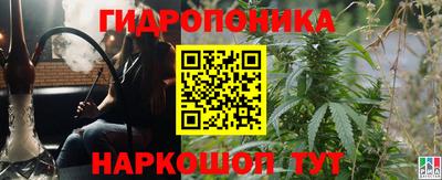 кокс Владимир