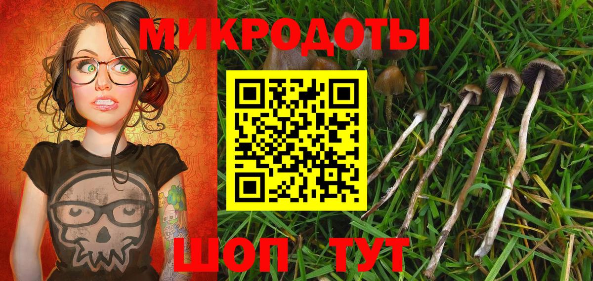 Галлюциногенные грибы MAGIC MUSHROOMS Россошь